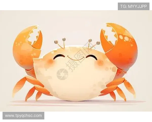 足球明星可爱插画素材分享让你爱上球场的萌趣世界